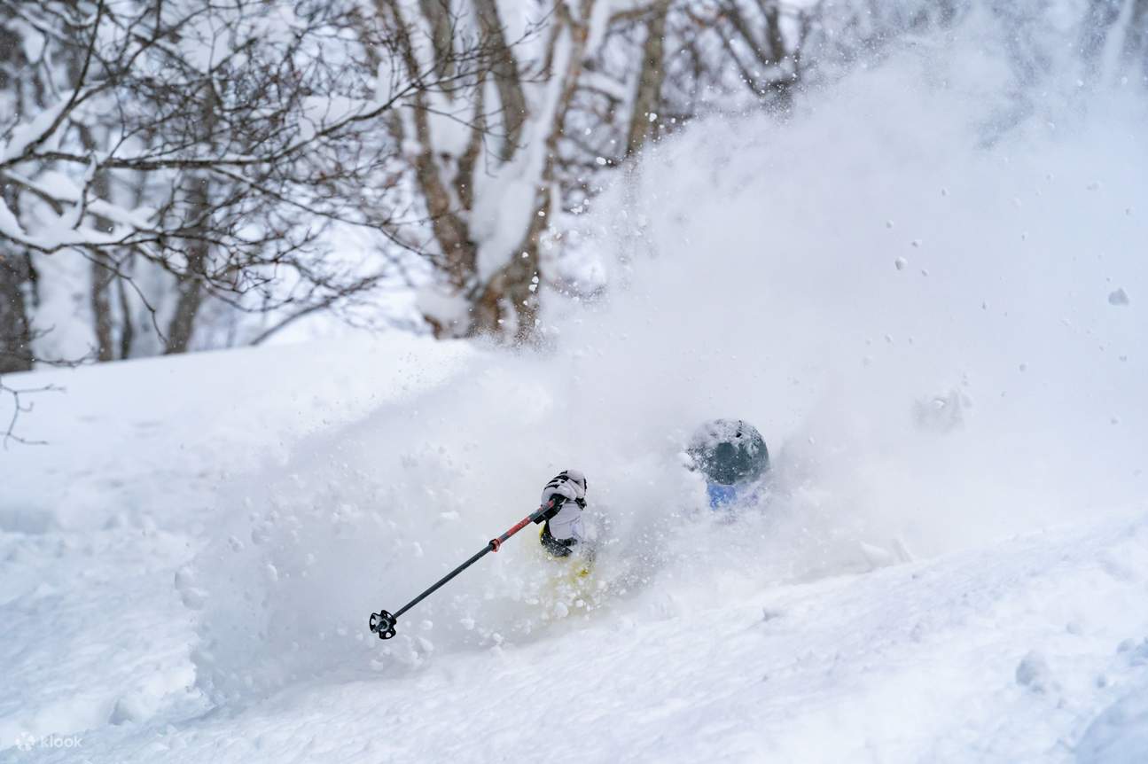 Kamui Ski Links 清晨 CAT Powder 体验