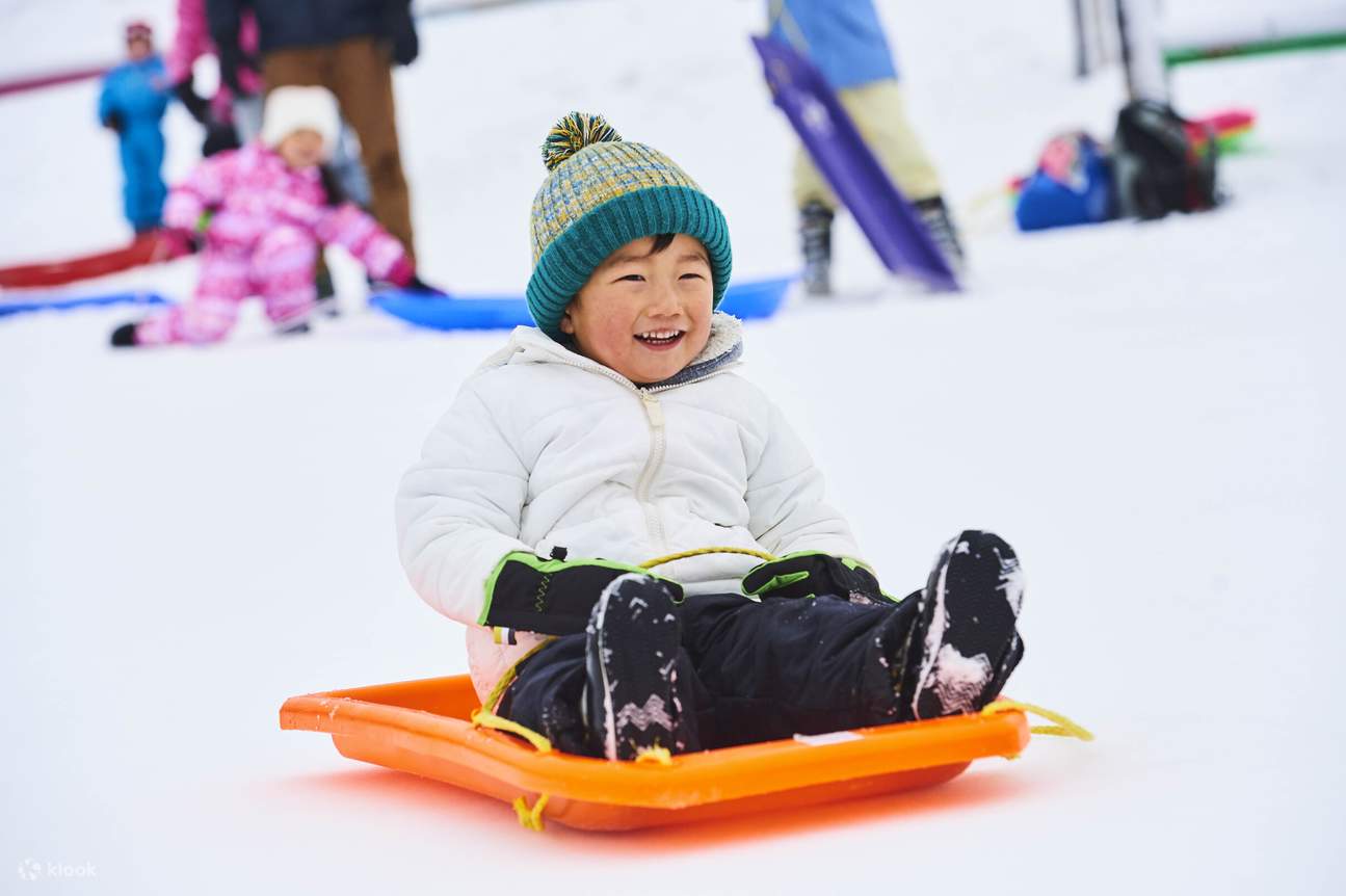 Un posto da non perdere per le famiglie: il parco divertimenti per slittini è un successo tra i bambini!