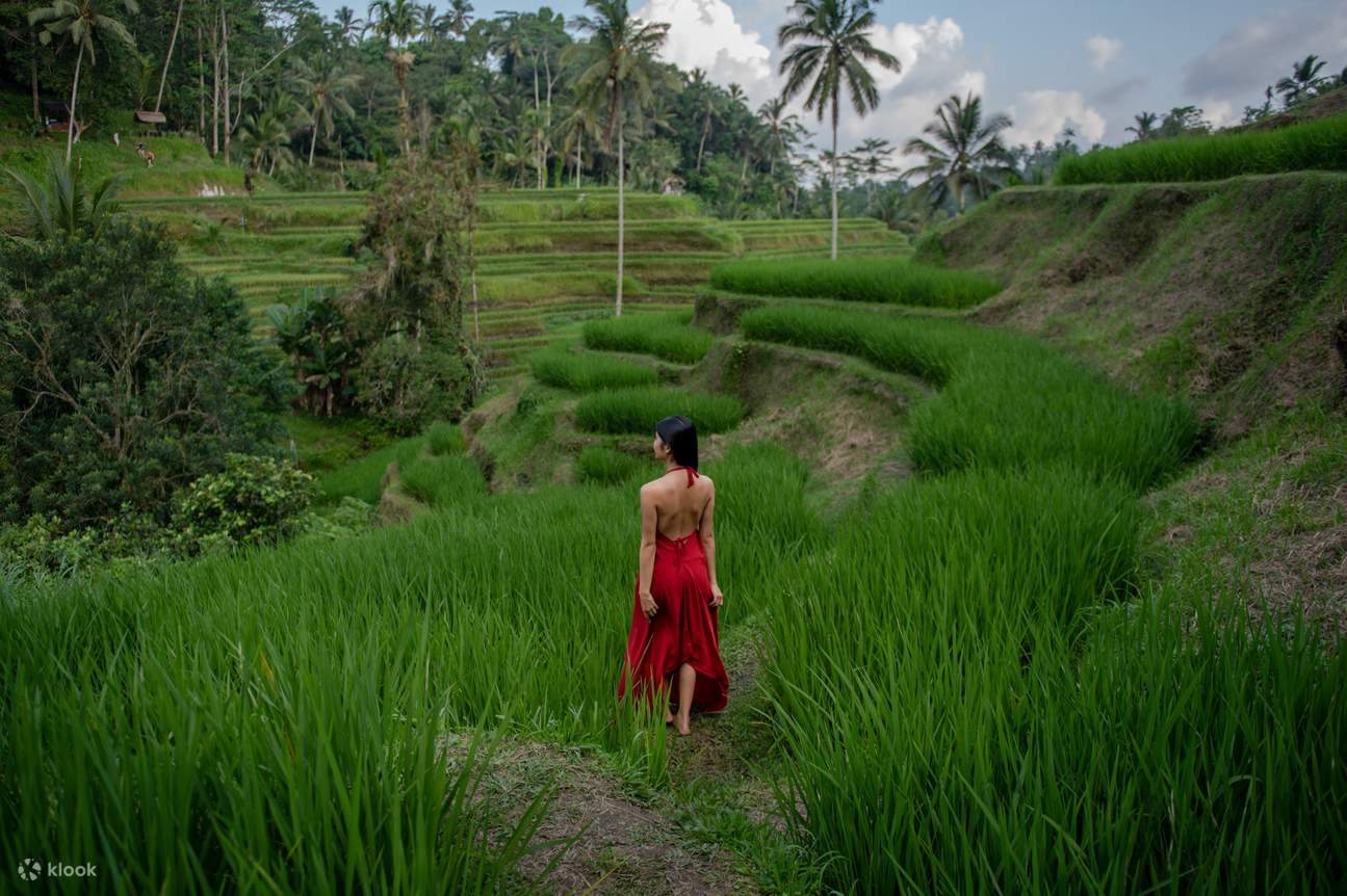 Risaia di Tegalalang