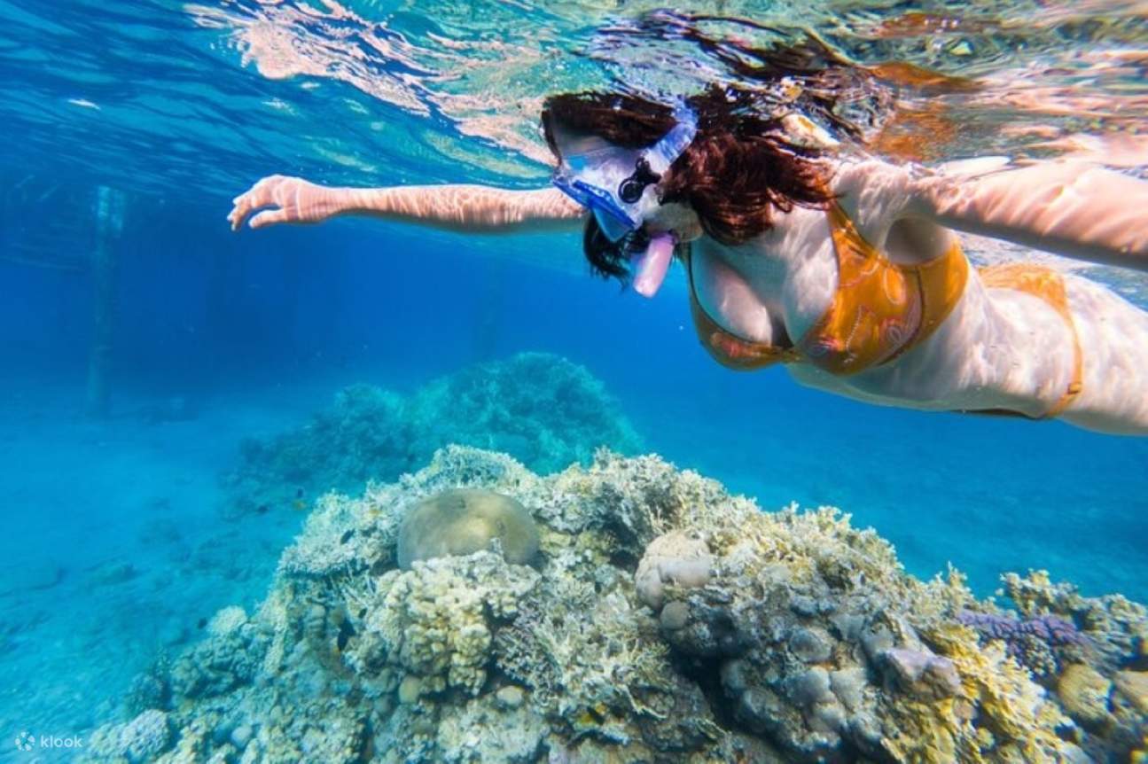 Lặn biển ngắm san hô ở Đảo Tiran, kèm bữa trưa & đưa đón - Sharm El Sheikh