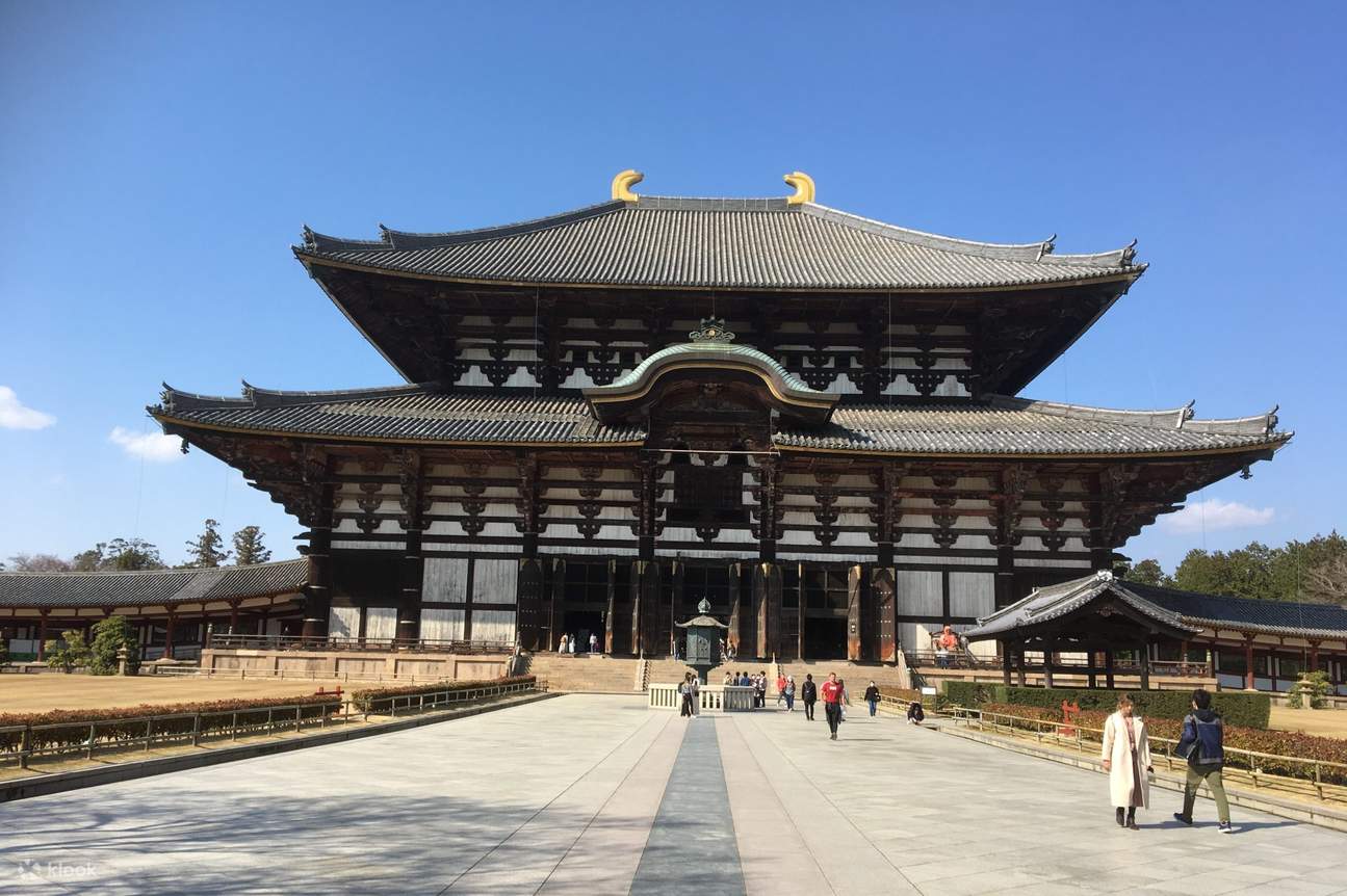 Nara City Nara Park Temples Shrines Private One Day Guided Tour 