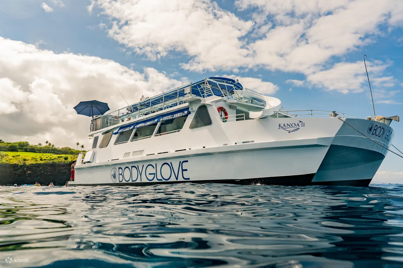 View of the luxury catamaran