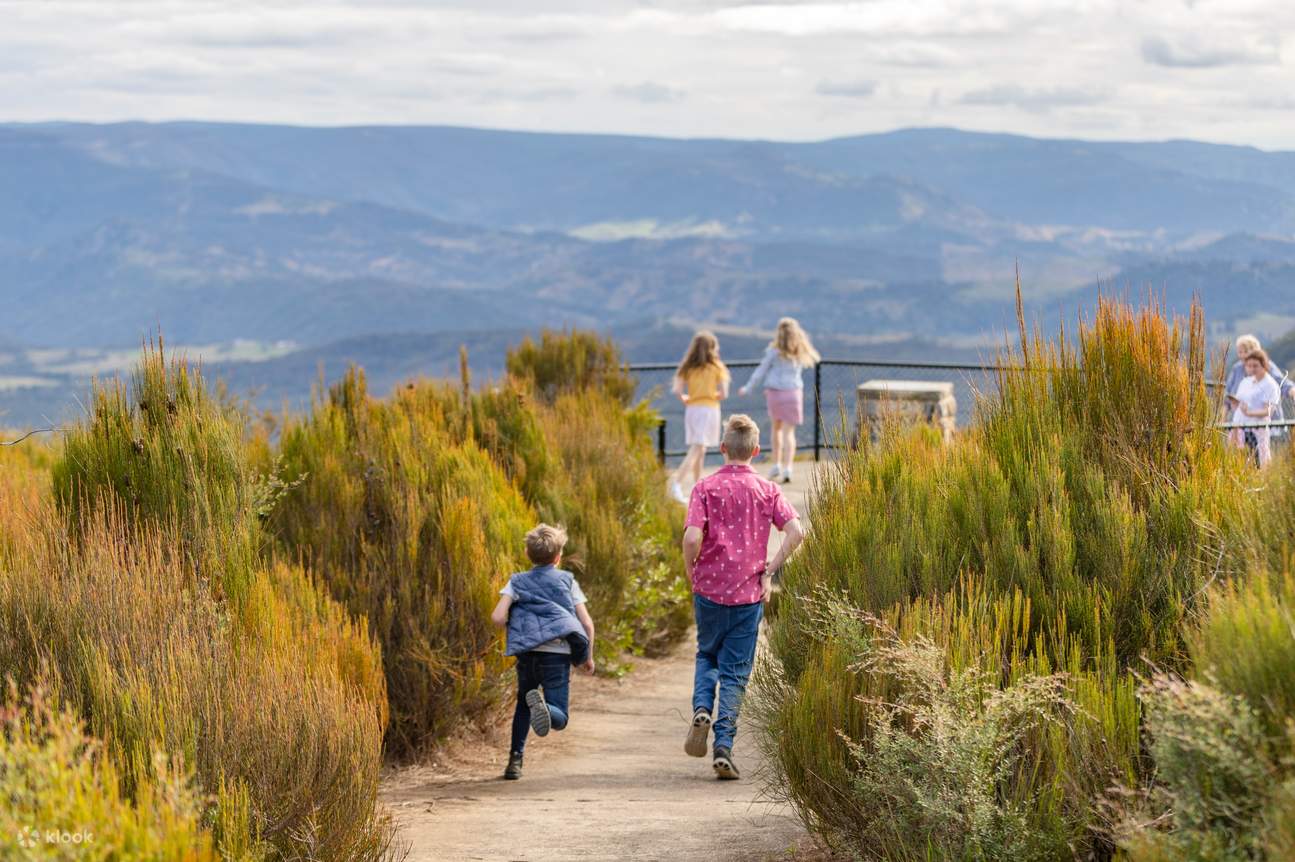 ブルーマウンテンズへのバスツアーで、息をのむような景色の中でゆったりと過ごしましょう。