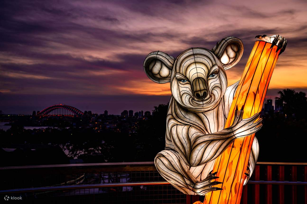 悉尼塔龙加动物园门票生动的野灯 Klook客路