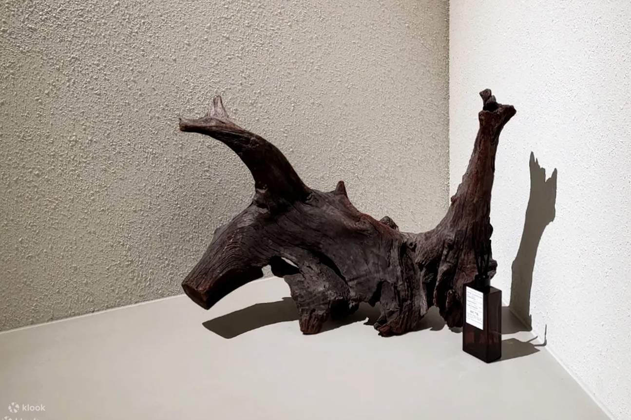 Lớp Học Làm Nước Hoa Cá Nhân Busan Haeundae với .NOTE