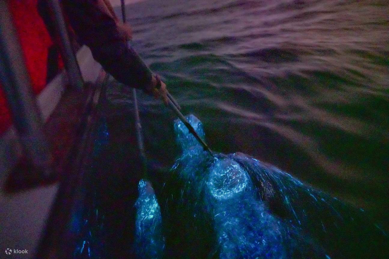 una persona che solca il fiume di Kuala Selangor per ammirare le Lacrime Blu