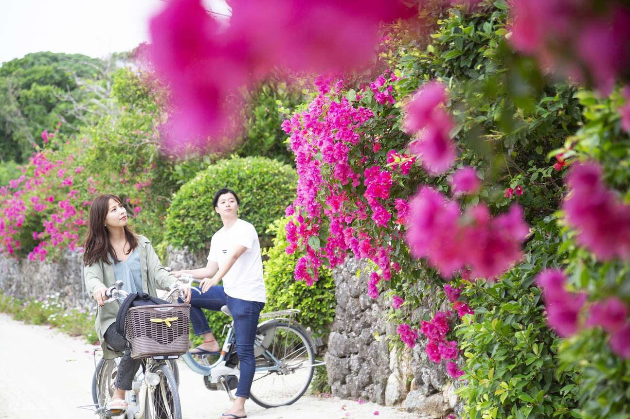 Các hoạt động phổ biến có thể lựa chọn ở Okinawa, đảo Ishigaki & đảo Taketomi + Tham quan đảo Taketomi