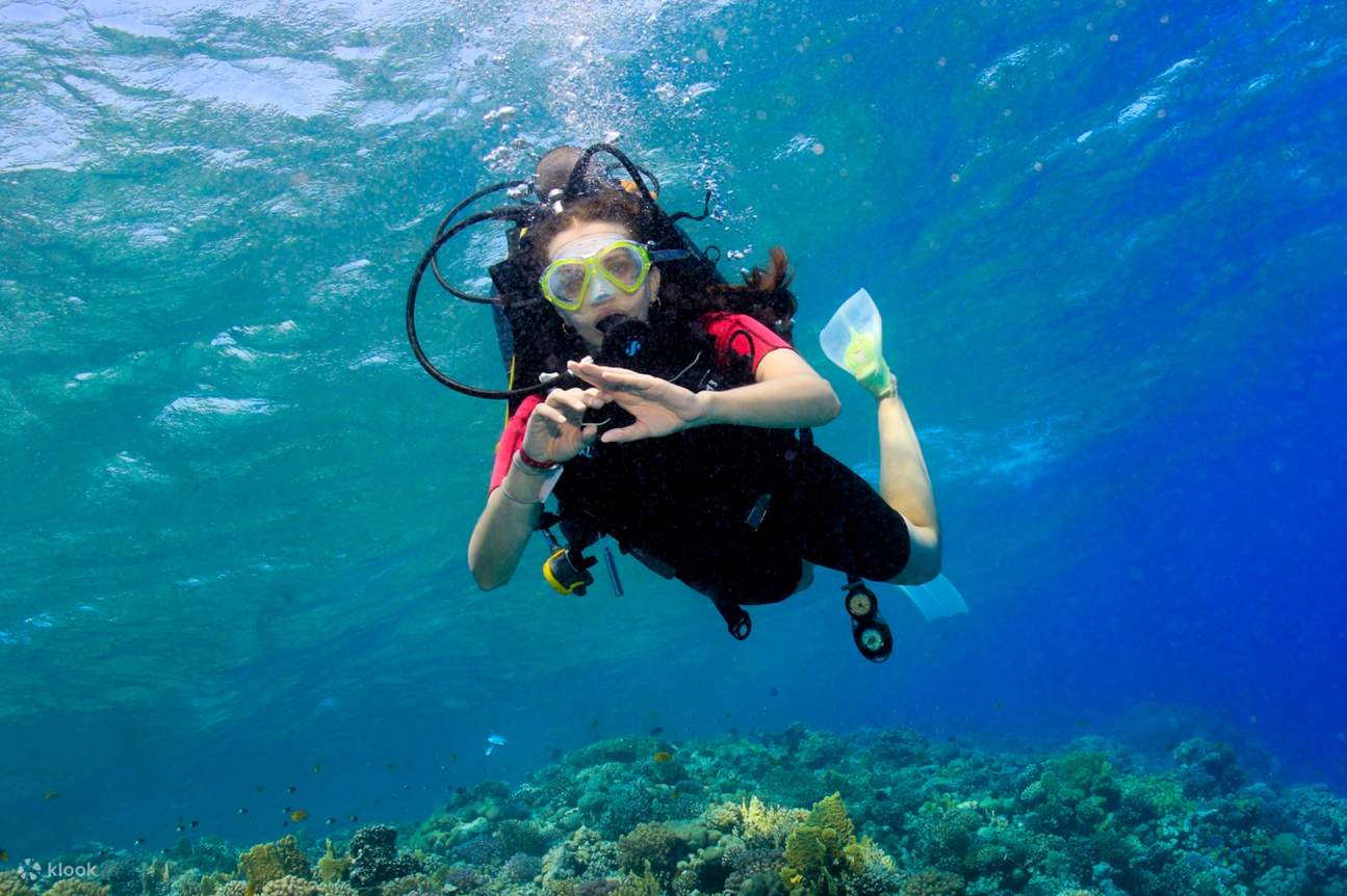 Korallengarten Schnorchel-Trip & Intro-Tauchgang mit Transfer - Marsa Alam