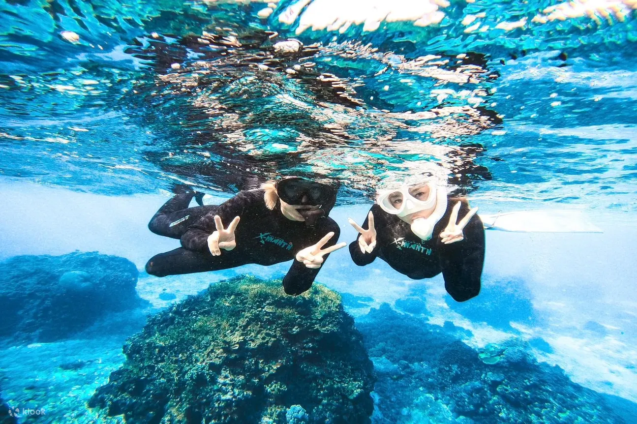 冲绳 宫古岛 与海龟一起畅游！刺激的浮潜体验，附赠照片礼物