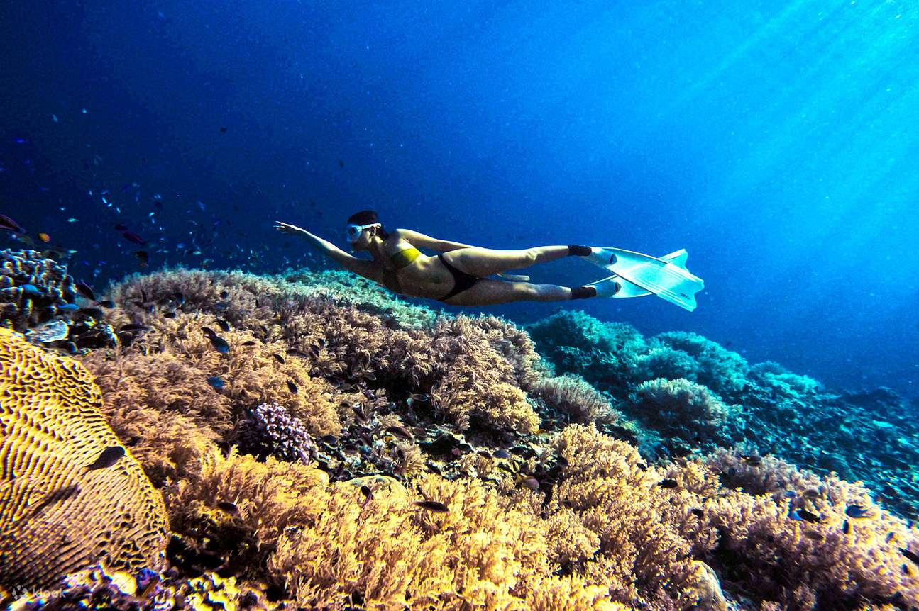 Trải nghiệm lặn tự do 1 ngày