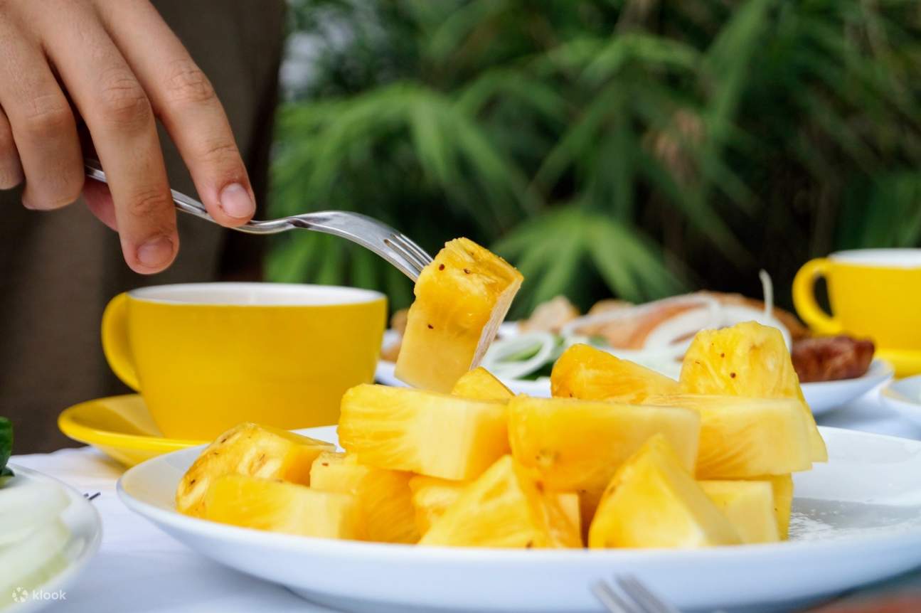 Đi bộ đường dài trên suối + Dã ngoại thác nước bí mật ở Lão Khê