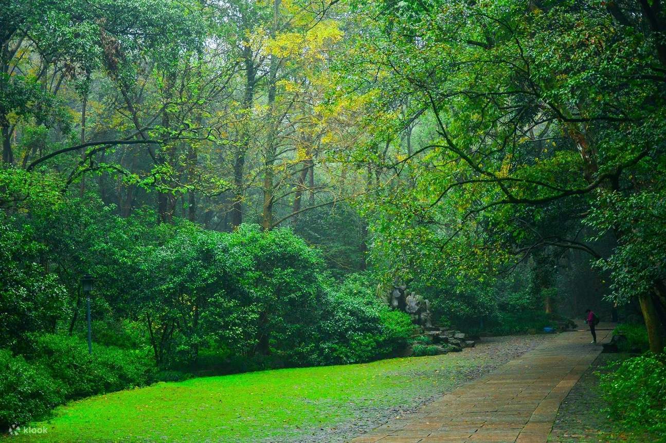 Hangzhou Private Guided Day Tour West Lake, Lingyin Temple, Feilai Peak ...