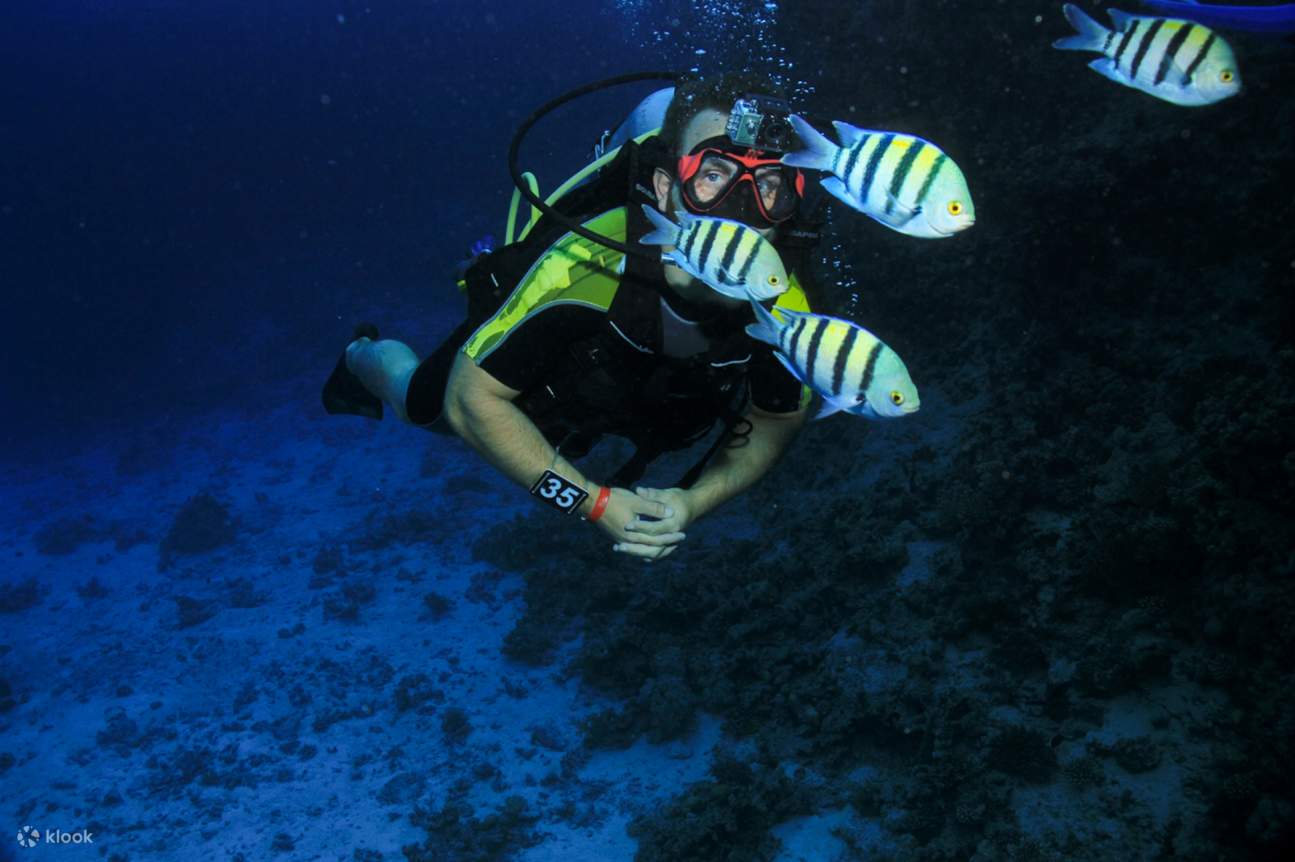 洪加达PADI开放水域潜水进阶课程 - 洪加达