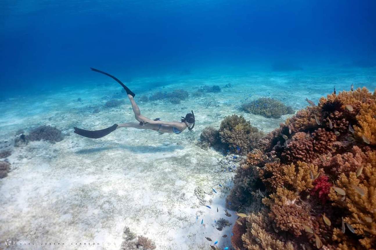 在海底游泳的女子