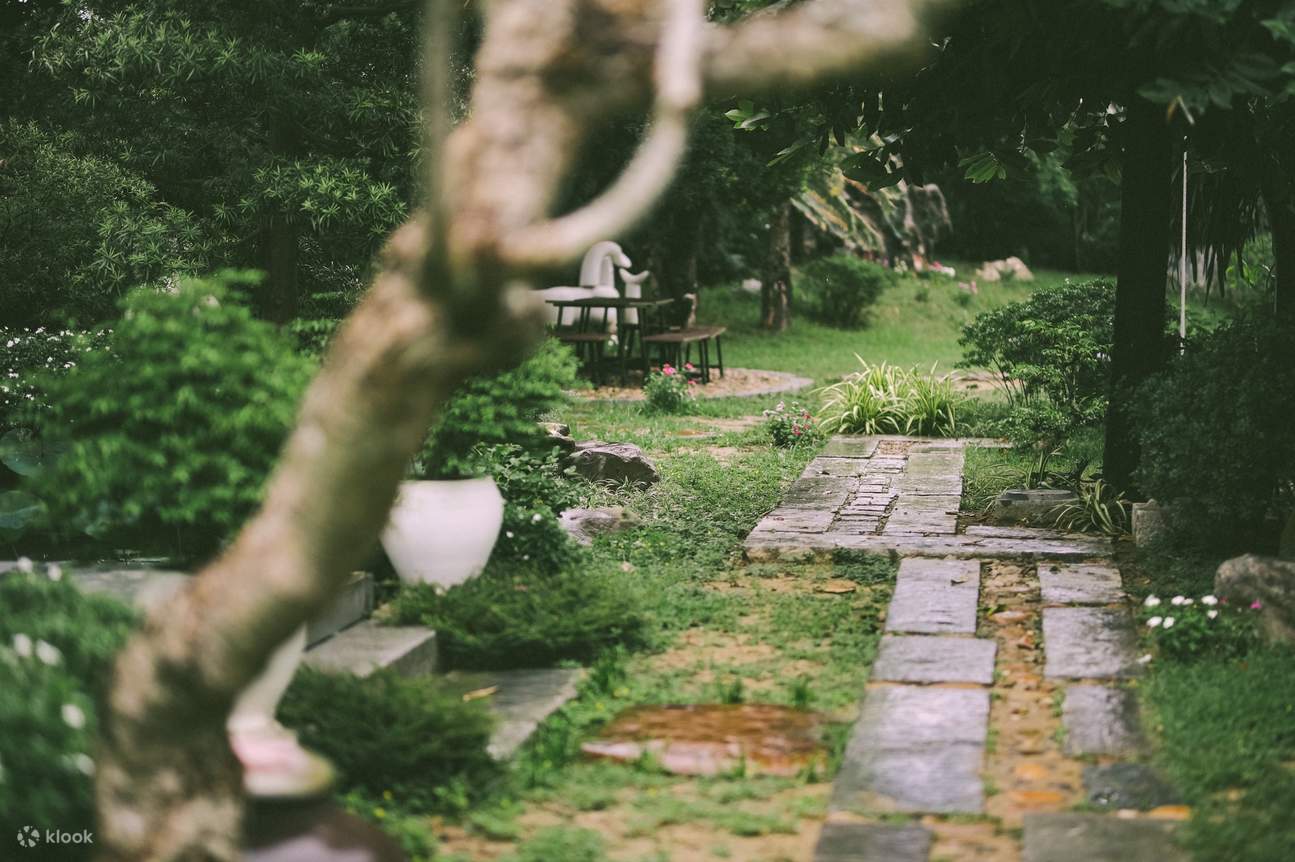 Expérience culinaire végétarienne au jardin d'An Nhien
