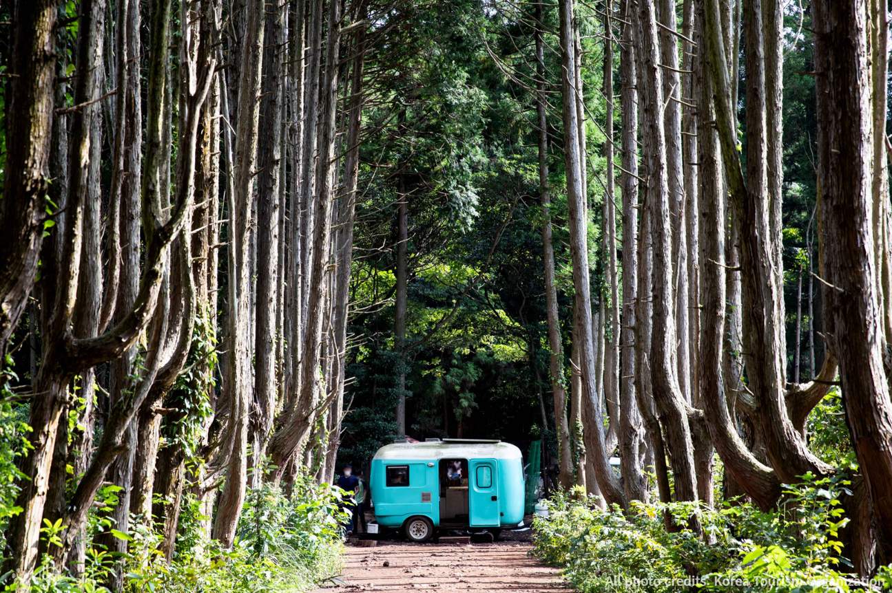 Tour en Taxi Privado por Jeju