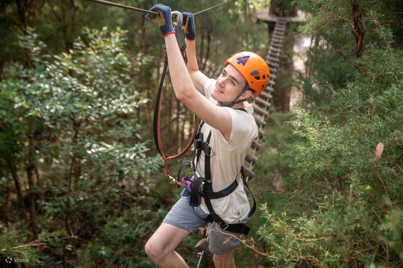 Pengembaraan udara yang mendebarkan