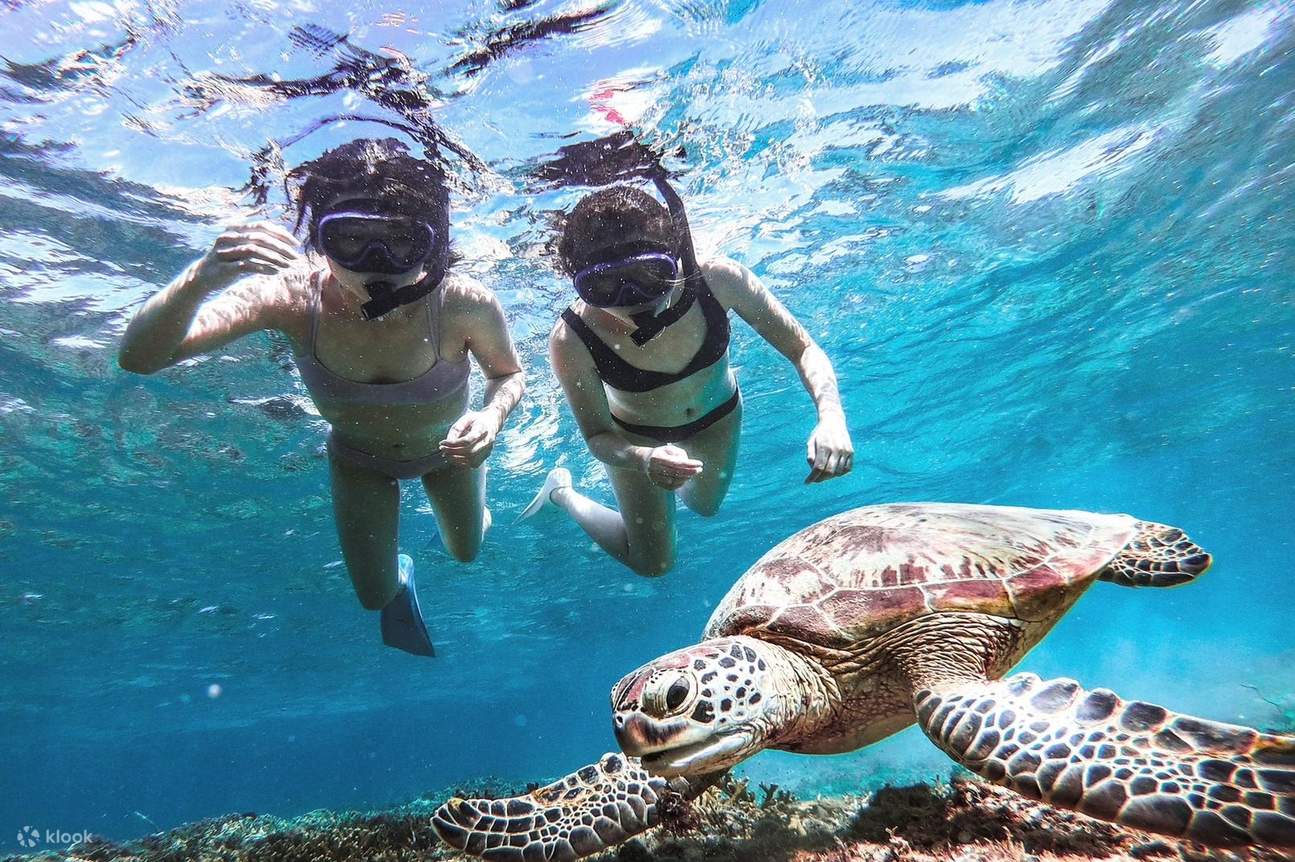 ¡Okinawa Miyakojima: Nada con tortugas marinas! Emocionante experiencia de esnórquel con foto de regalo
