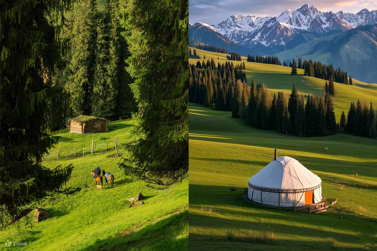 10-tägige Privatreise auf der Seidenstraße im südlichen und nördlichen  Xinjiang (mit optionalem englischsprachigen Reiseleiter + Narat-Grasland +  Tianshan Mysterious Grand Canyon + Duku Highway +  Kizil-Tausend-Buddha-Höhlen + Desert Highway + Kashgar +, image size:1295x862