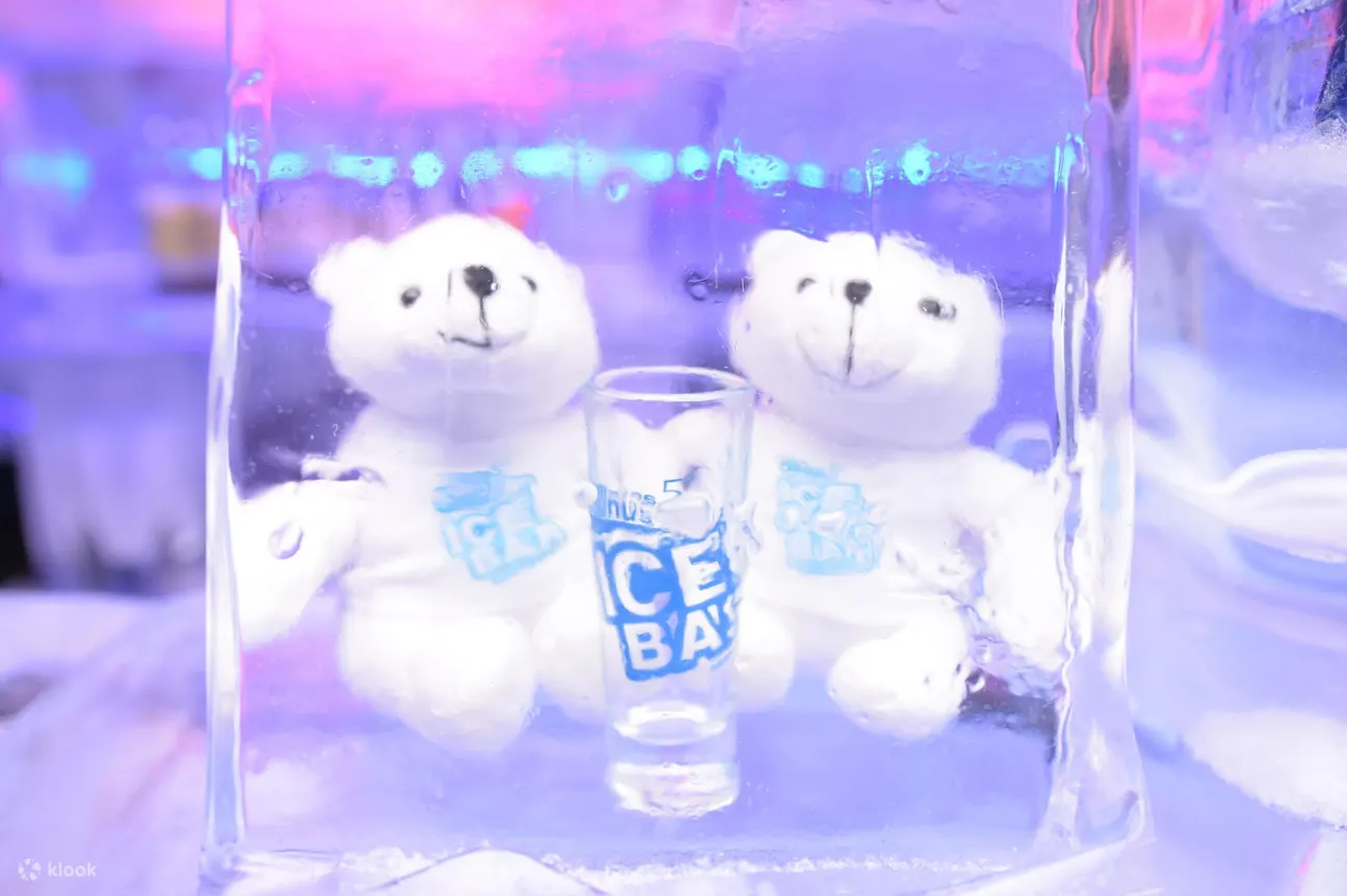 泰迪熊 minus5 冰吧皇后镇
