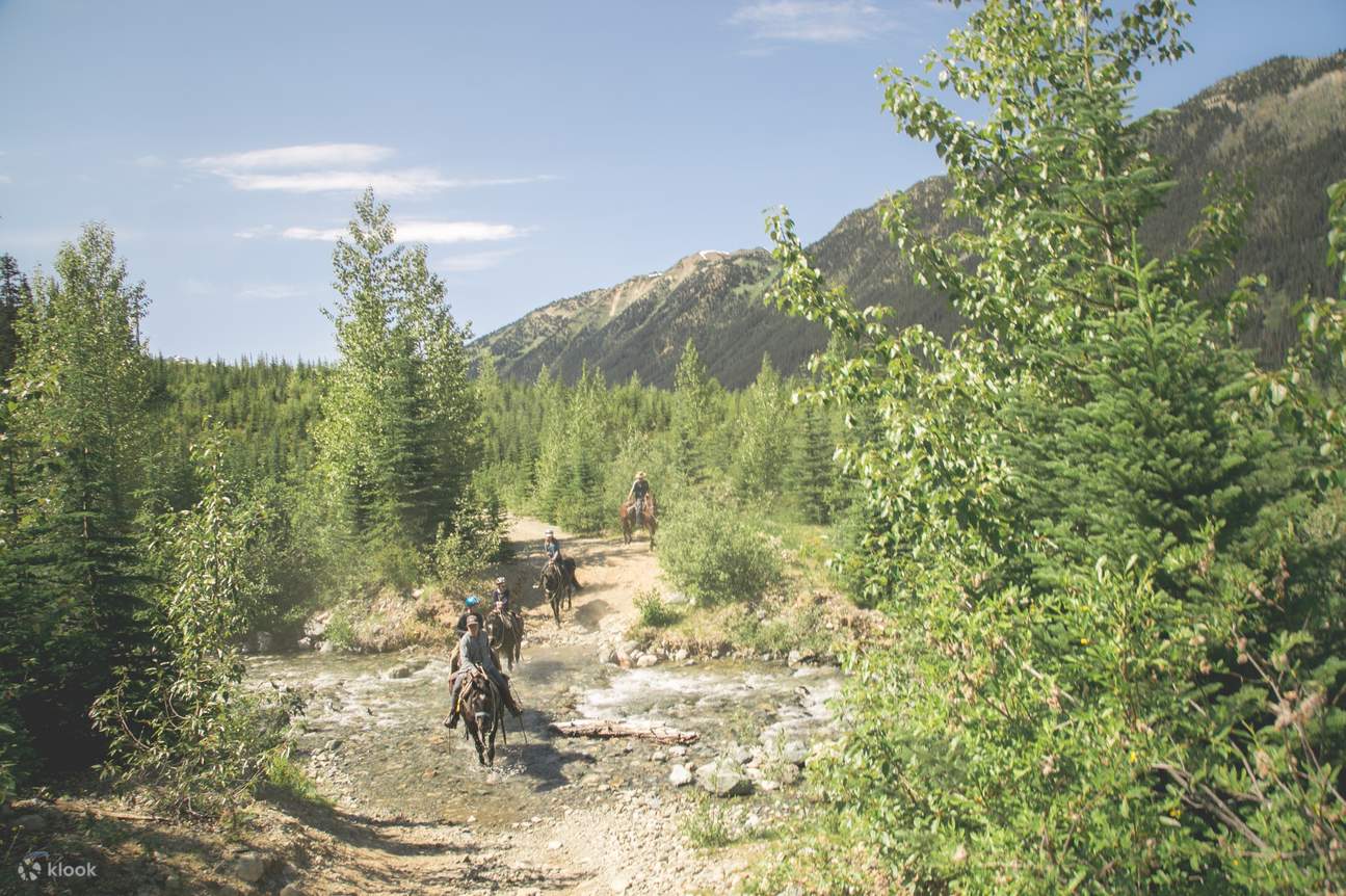 TwoHour Pemberton Valley Horseback Riding Experience Klook Hong Kong