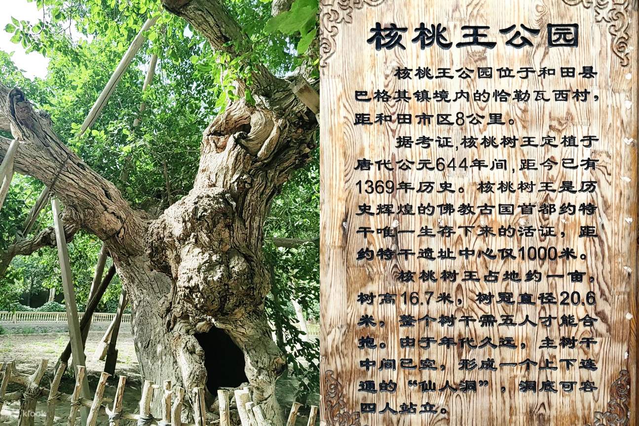 Die Seidengeschichte, image size:1295x862