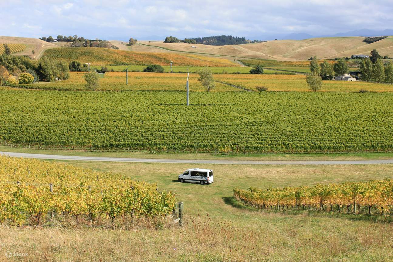 Marlborough's Best Full Day Tour - Klook