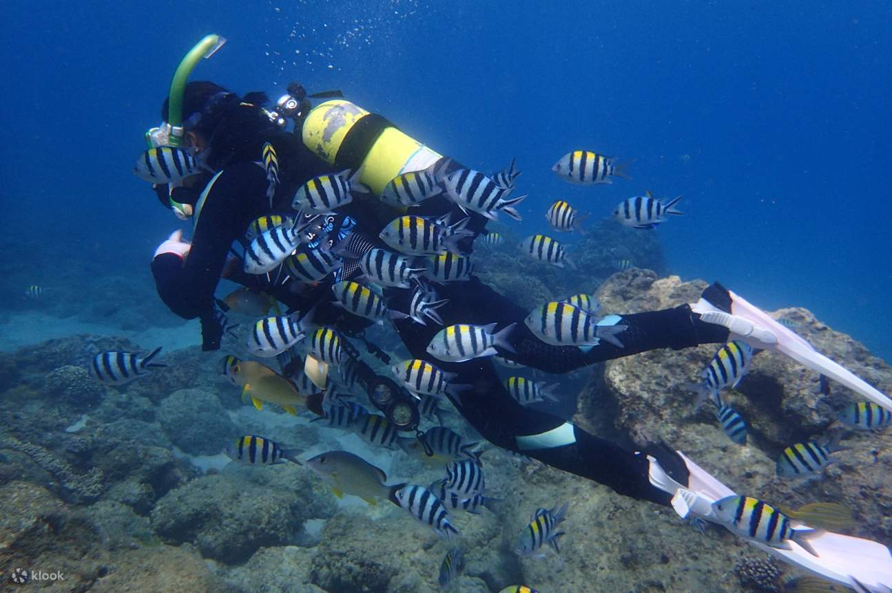 Pagsisid Karanasan sa Pagsisid sa Kenting Sea World โ Pagsisid at Kurso sa OW ...