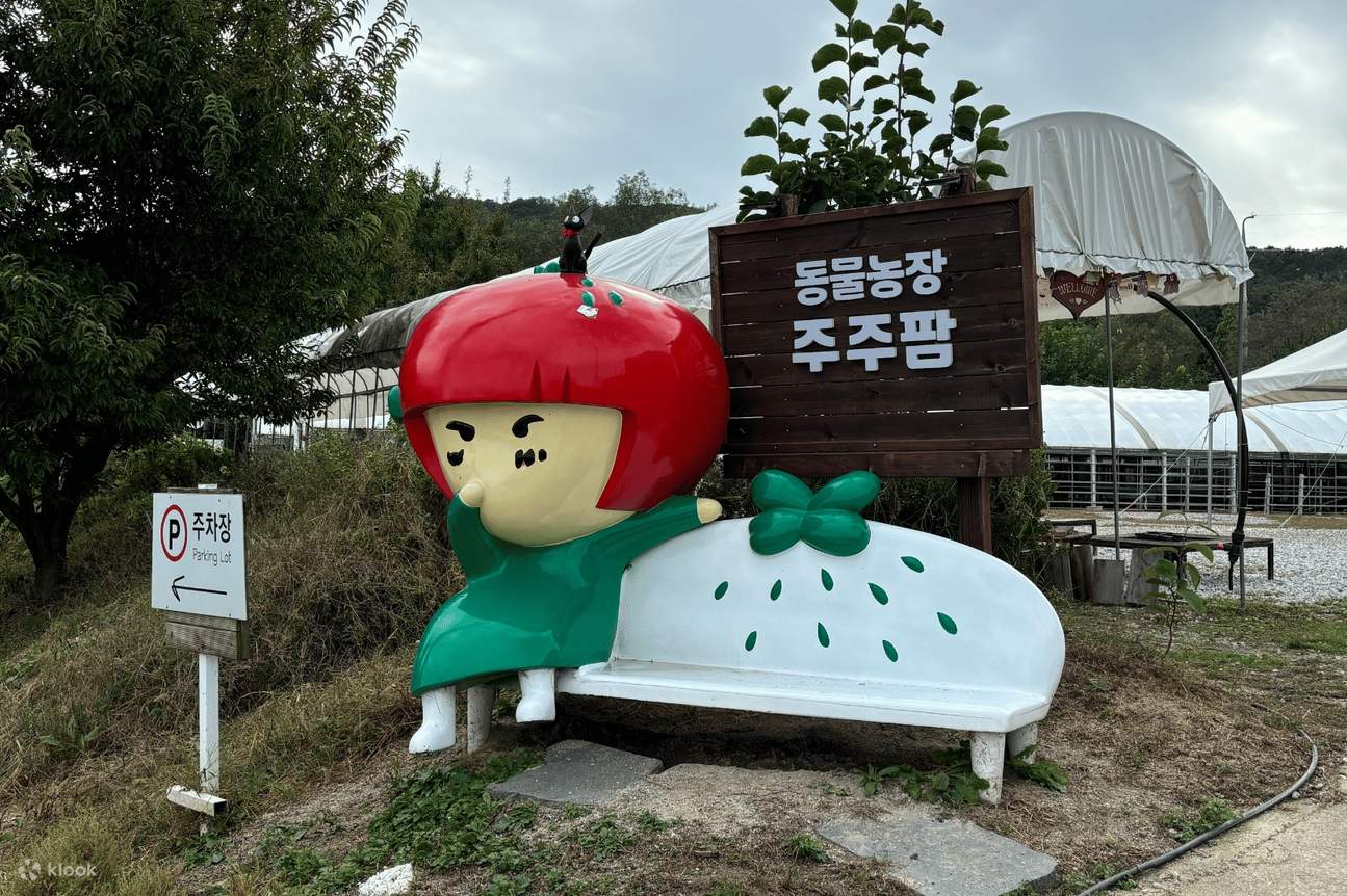 Esperienza alla Yeoju Pet Farm - Dai da mangiare, gioca e crea un legame con cani e gatti