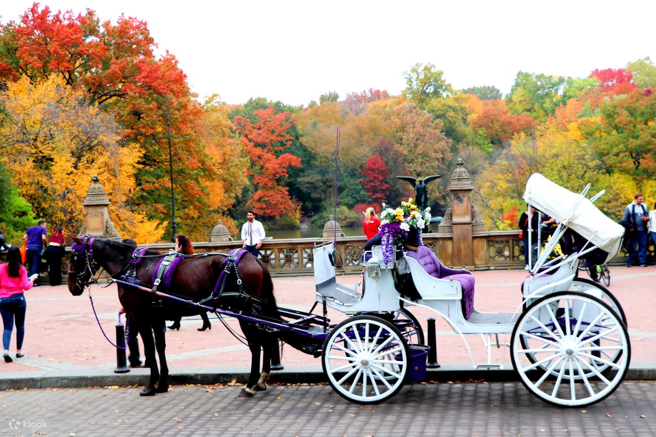 Central Park Horse Carriage Tour in New York Klook Malaysia