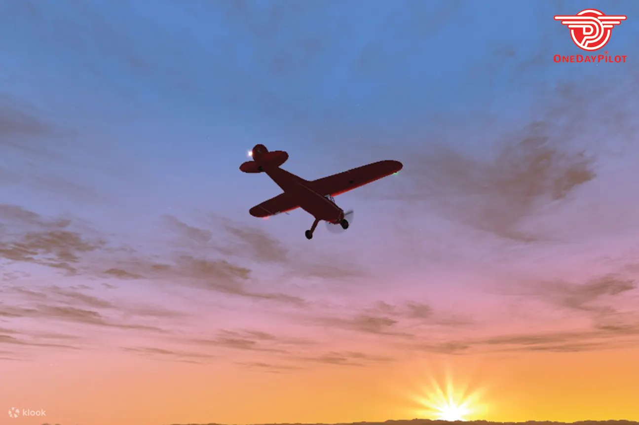 One Day Pilot Experience in Kuala Lumpur