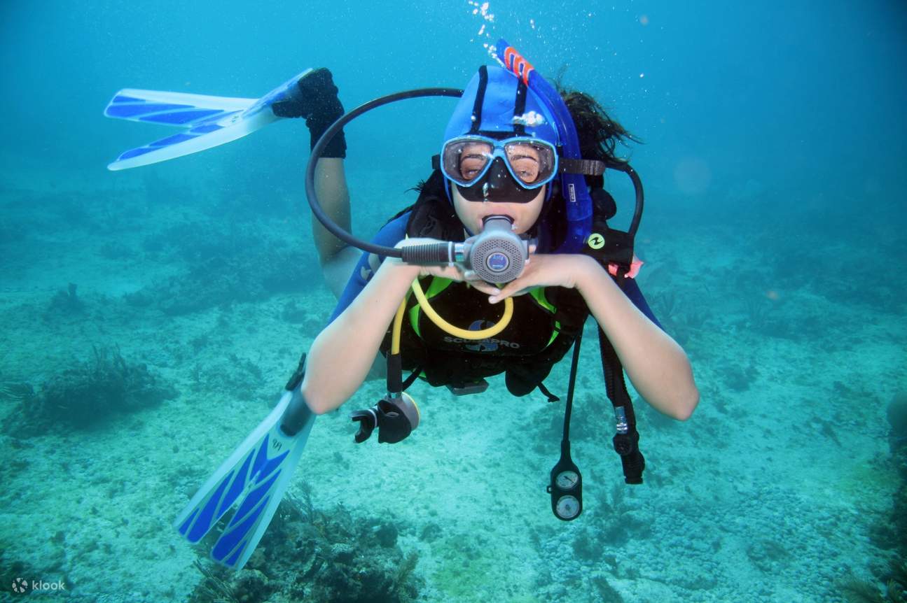 Professioneller Tauchboot-Ausflug mit Mittagessen & Transfer – Hurghada