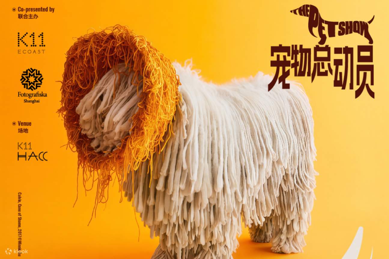 深圳K11 ECOAST 宠物治愈套