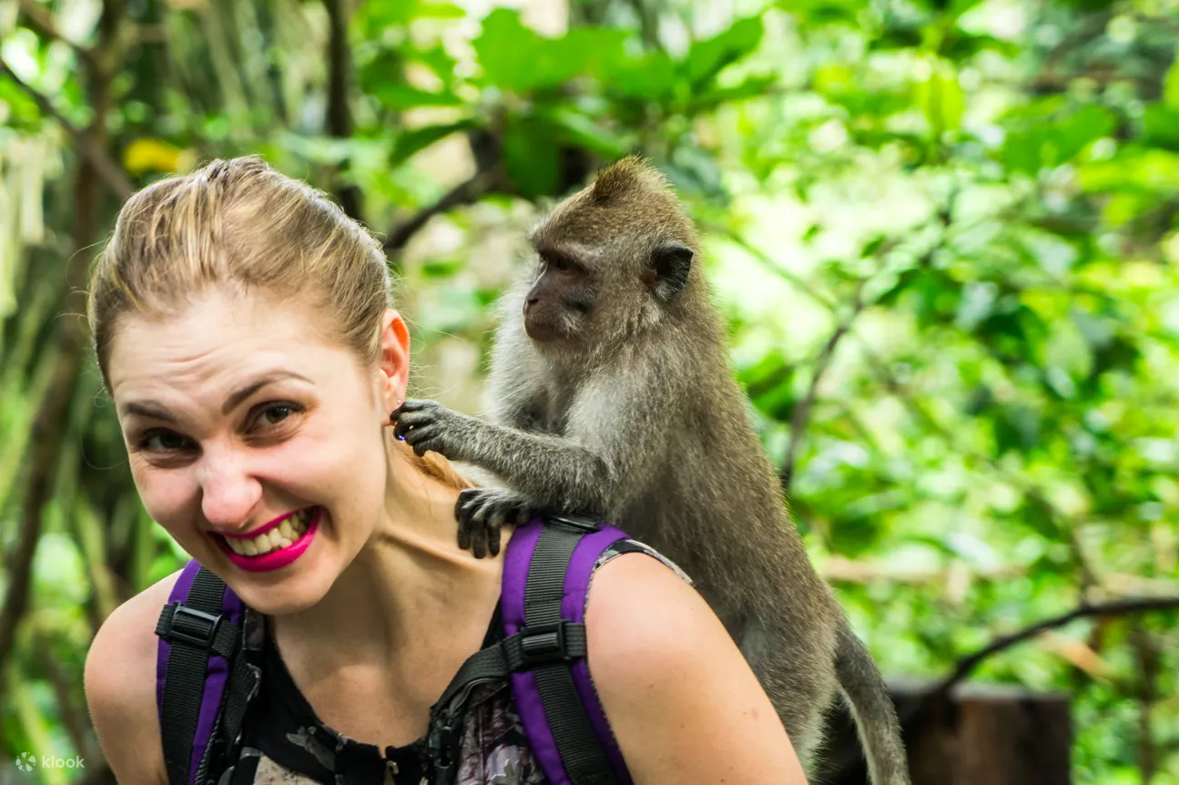 Ubud Monkey Forest