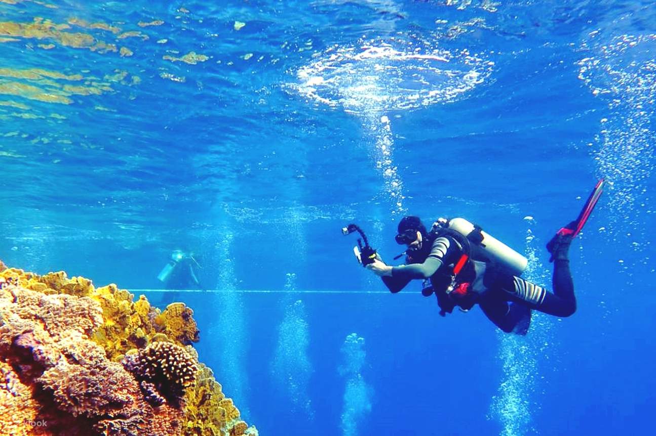 洪加達：入門潛水及浮潛之旅（含午餐）