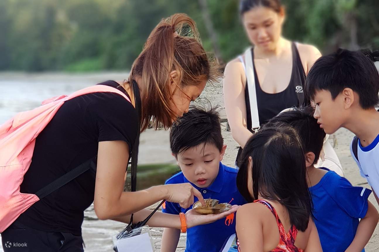 Zone intertidale de Coney Island