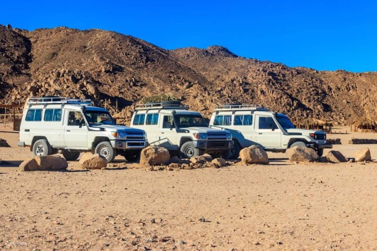 观星和吉普车冲沙之旅，享用贝都因晚餐 - 洪加达