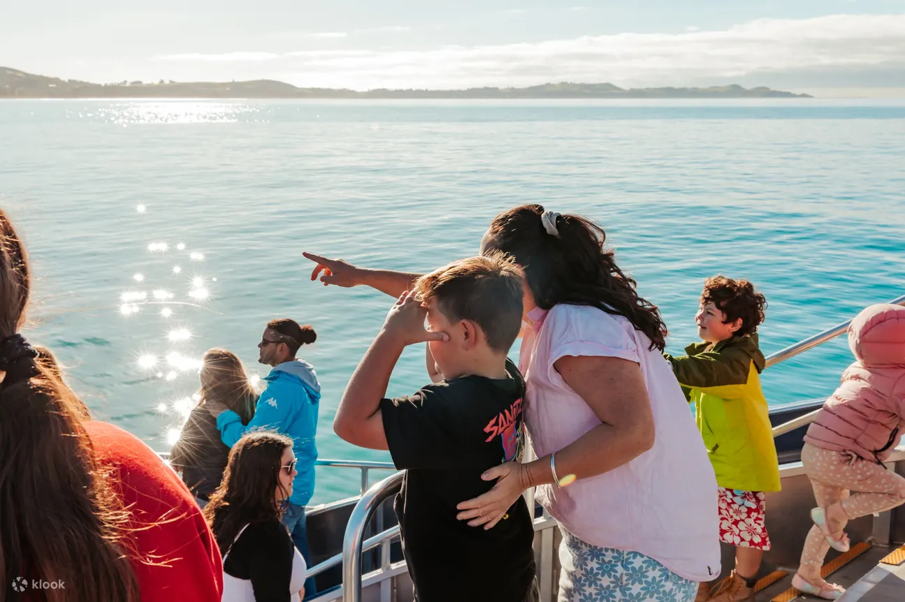 凯库拉观鲸 (Whale watching Kaikoura)