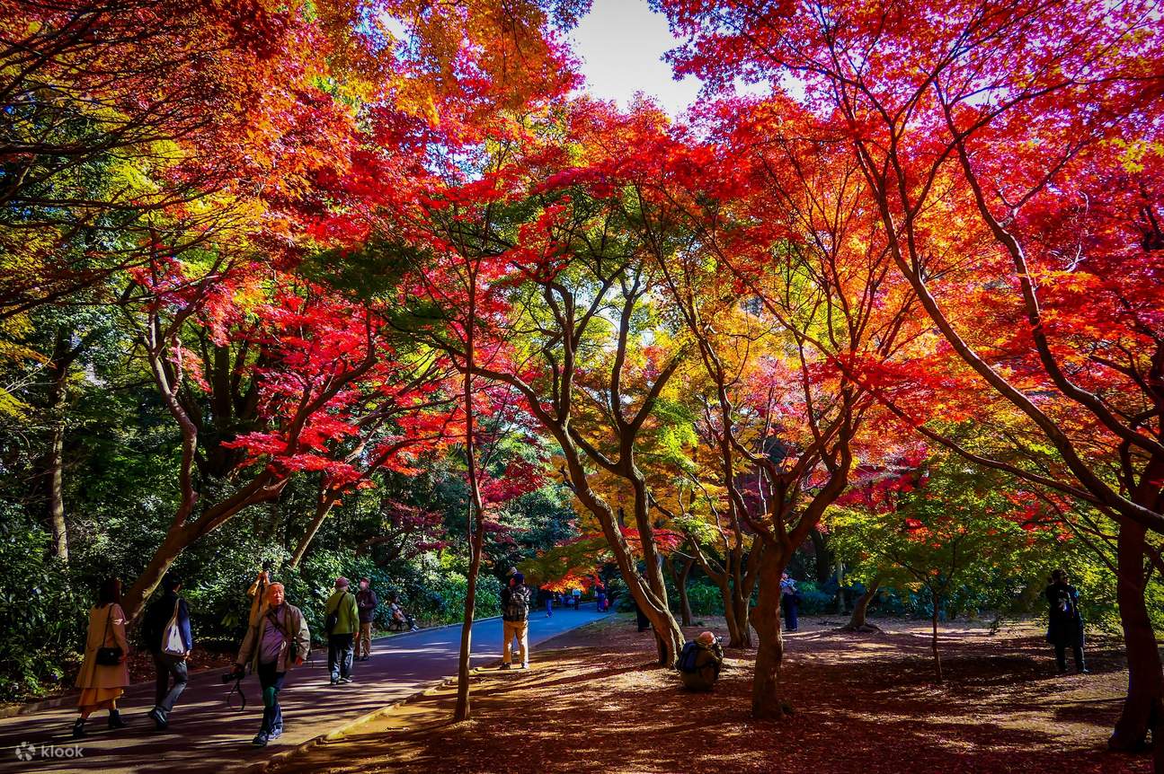 shinjuku gyoen tickets
