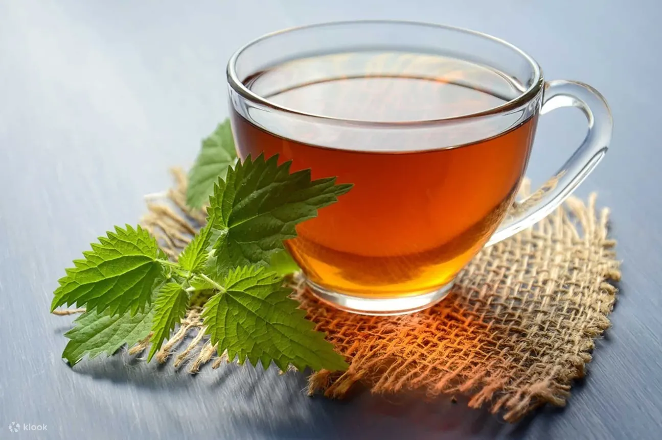 麦地那美食之旅