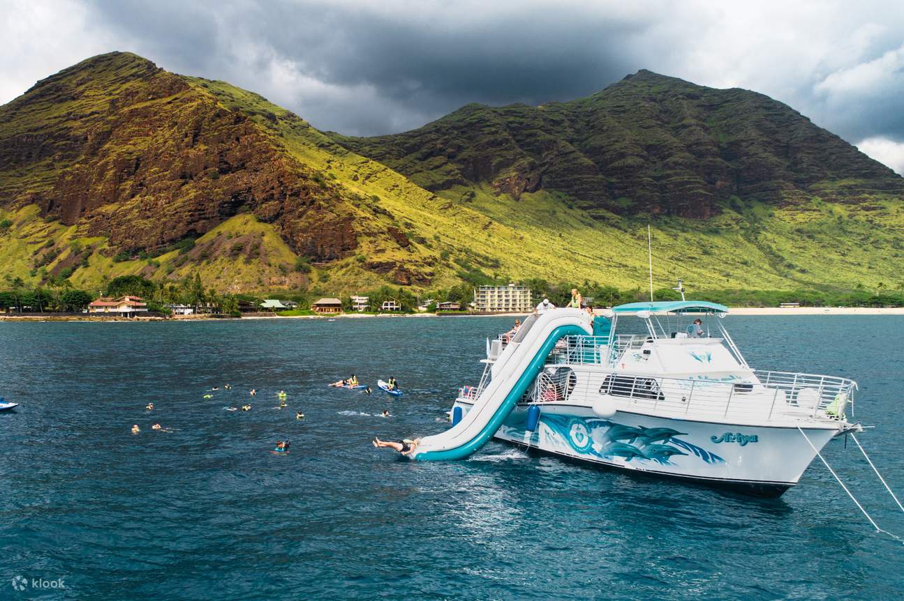 Swimming with Dolphins in Oahu Klook Australia