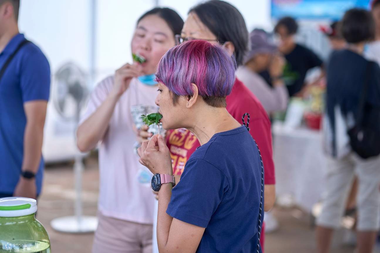 Trải nghiệm làm vườn trên sân thượng ở Singapore