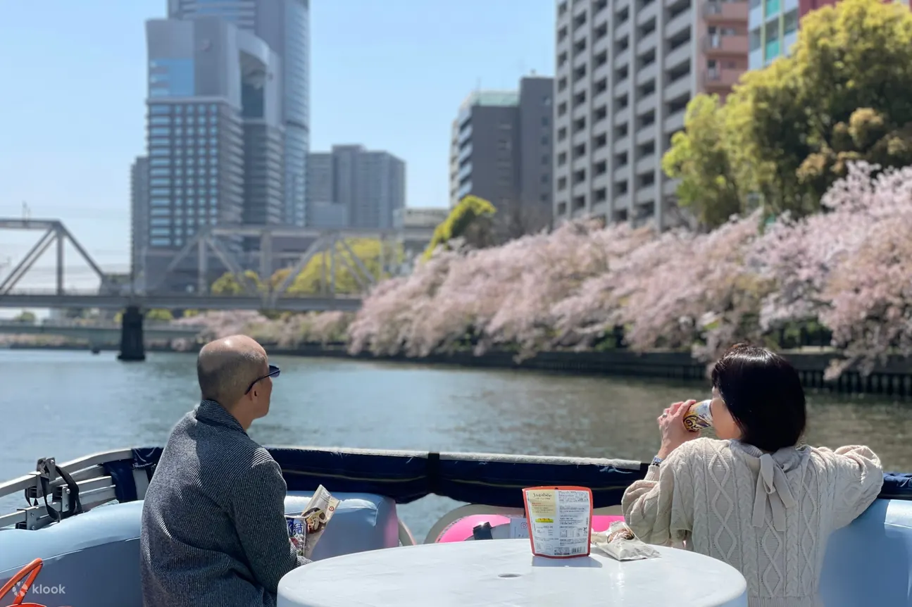 樱花城市巡游