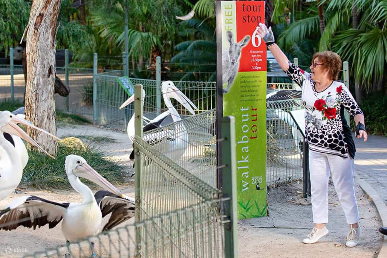 Tierpfleger für einen Tag