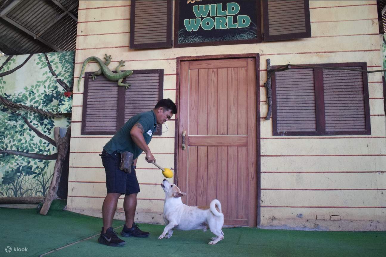 フライト＆グライド