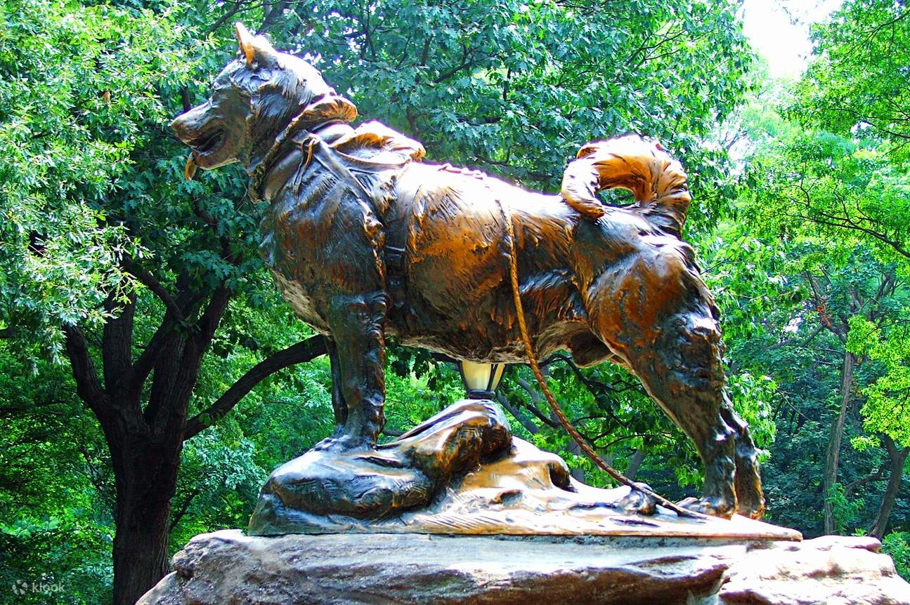 Central Park Audio Tour in New York Klook