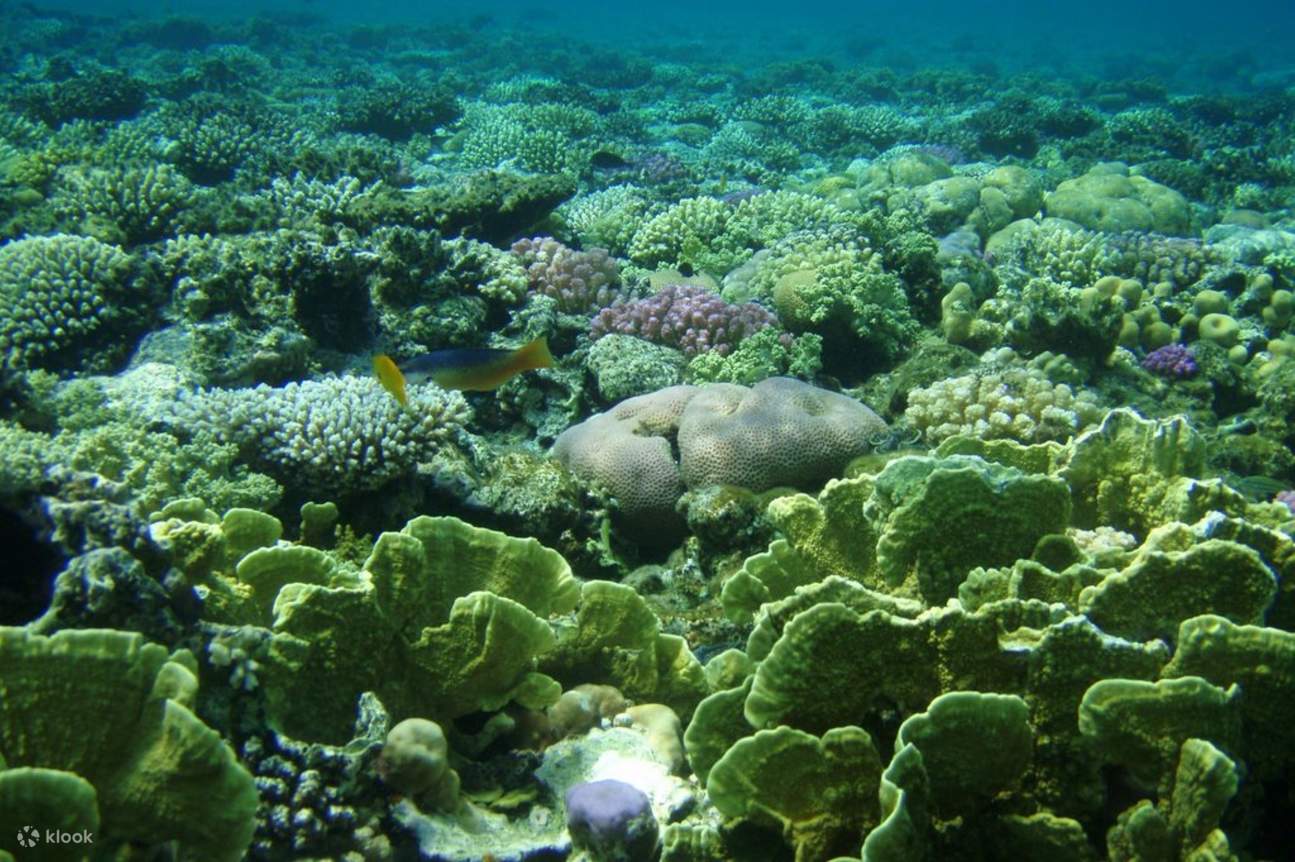 Parco Nazionale 3 Pools & Quad in ATV a Dahab in Bus - Sharm El Sheikh