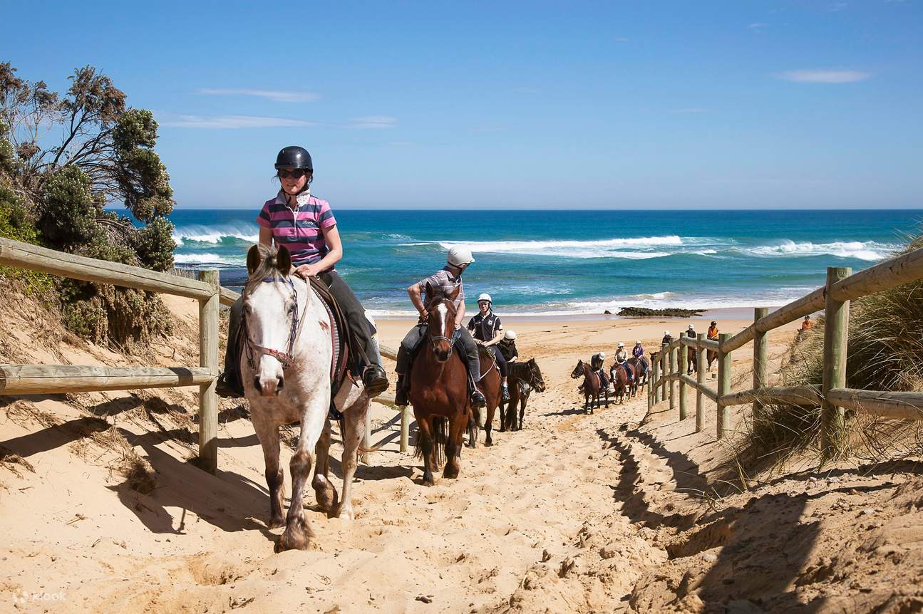 Beach Horse Riding in Mornington Peninsula Klook Россия