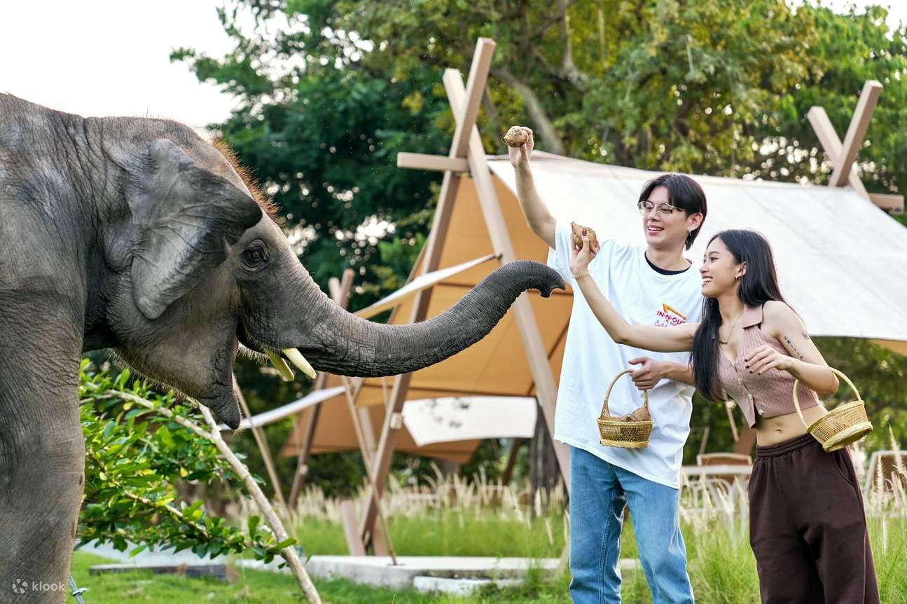 Zipline im Tarzan Adventure Pattaya