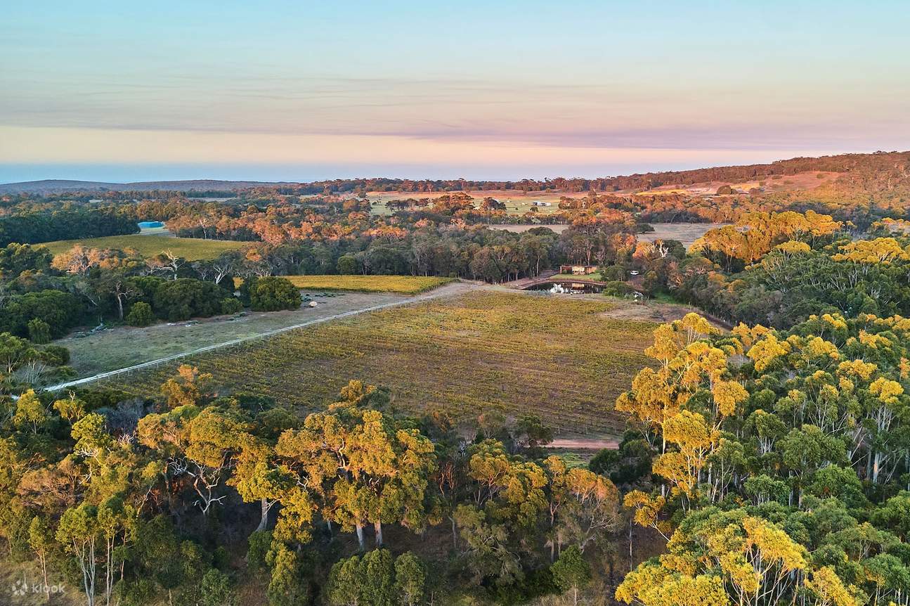 Rasa Wain Estet Passel